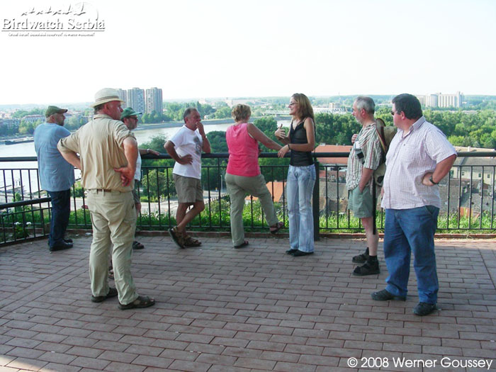 Novi Sad-29-06-2008.jpg